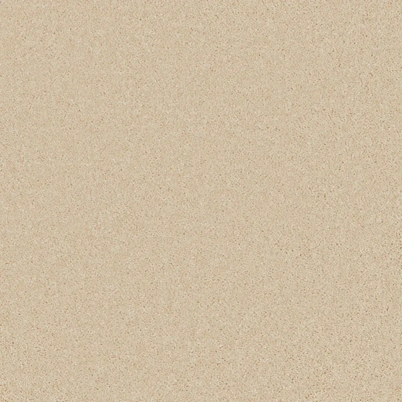 Bliss - Super Soft Saxony Carpet - NEW!