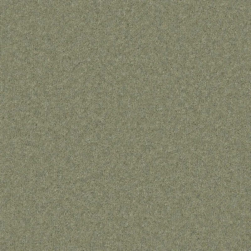 Timeless Deluxe - 80/20 Wool Carpet - NEW!