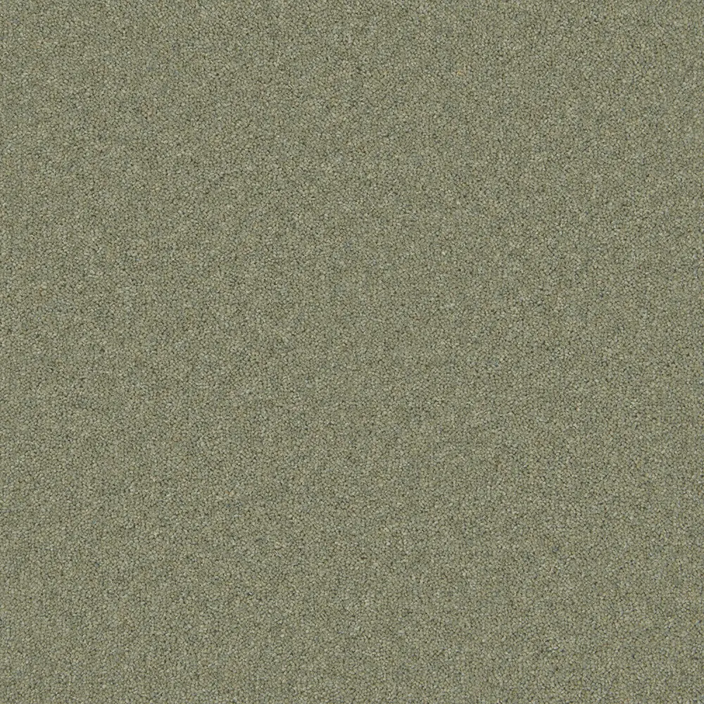 Timeless Deluxe - 80/20 Wool Carpet - NEW!